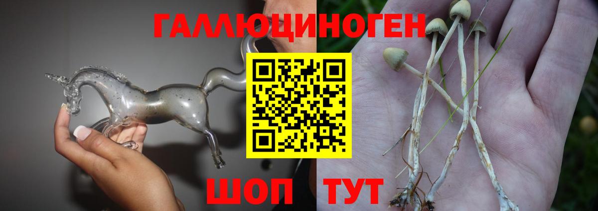 купить наркотики цена  Галлюциногенные грибы Magic Shrooms  Вход с VPN  Москва 