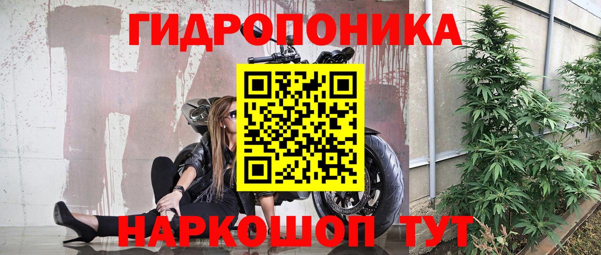 Марихуана сатива  Шишки марихуана семена  Москва  Вход с VPN 